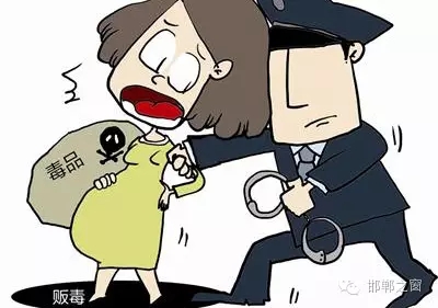 2016年初，涉縣警方查獲一起涉毒案件，鑒于該案涉案人員多、毒品交易量大，涉縣警方立即將案情上報，被公安部確立為“目標-2016-314”號毒品案件。涉縣警方成立專案組，經(jīng)過多方追查，先后抓獲團伙人員13名，繳獲毒品5349克，并查明上線“濮姐”的真實身份為陳某。